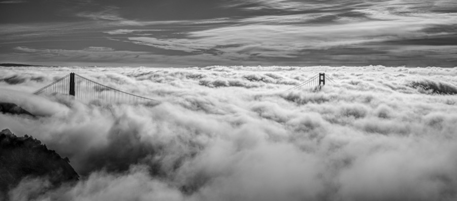 Above the Fog